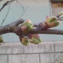 ちょっとした幸せと・・・・