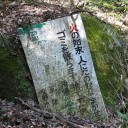 今日もまた・・・