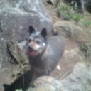 高川山へ