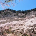 山の上岩の上  no vain road