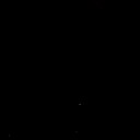 月明かりふんわり落ちてくる夜は