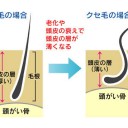 かがみ「体育祭に向けて髪切ろうかな。思い切ってショートとか」