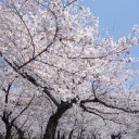 【日常】久々の日記