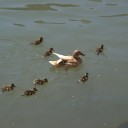 空気の抜けた古タイヤ