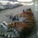 ４月25日　王子動物園
