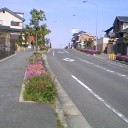 坂