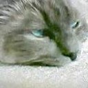 ママチャリの持ち主は・・・
