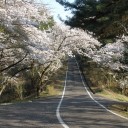 大型連休も今日で終わり