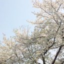 今日