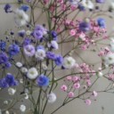 花とワイン