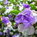 木曜〓仕事と雨と〓