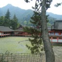 新幹線の中で君の夢見たんだ