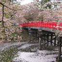 花筏