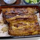 うなぎ　との村