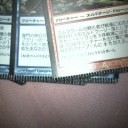 ワイルド長門ィル