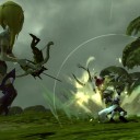 Dragon Nest