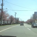 ひとこと