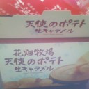 お花畑