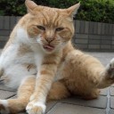 いつも何かを探している