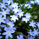5月12日