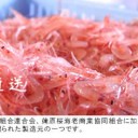 食い物　手作りラー油だそーです