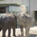ウゴリンと遠足に行ってきました
