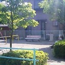 蒸し鶏は危険な香り　“３６５日火難の相の出ている女”　の巻