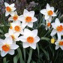 5月17日