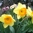 5月17日