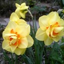 5月17日