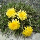 5月19日