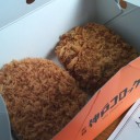 神戸コロッケ