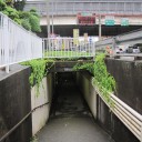 おなかすいた、、、