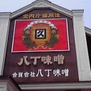 【自転車】岡崎城見物