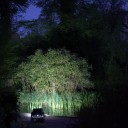 『こぐこぐ自転車 』(伊藤礼)