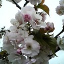 5月27日