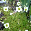 5月28日