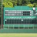 まだ５月なのに＠堺浜。