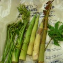 アウトドアな2日間