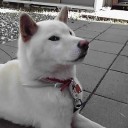 ようやく毎日暖かくなり