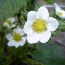 6月5日