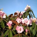 6月7日