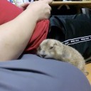 眠たいです。