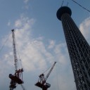 ツリー行ってきたよツリー