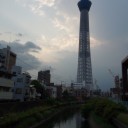 ツリー行ってきたよツリー②