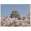 ひめじじょうのしろくまはほかのどうぶつえんにうつしてほしい・・・