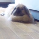 暑い