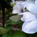 6月19日