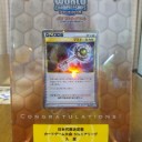 2010 6/20 WCSファイナル！　日本代表決定大会　-たねぼーのターン-