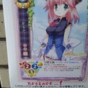 久々の写真